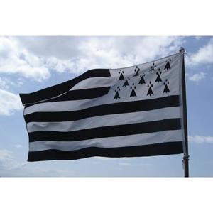 L'une des meilleures voyantes en Bretagne: drapeau-de-la-Bretagne